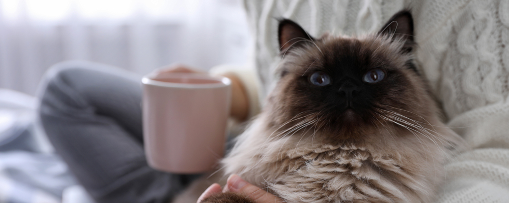 コロナ禍で私たちの「時間的なゆとり」と「資産形成意識」はどう変わった？