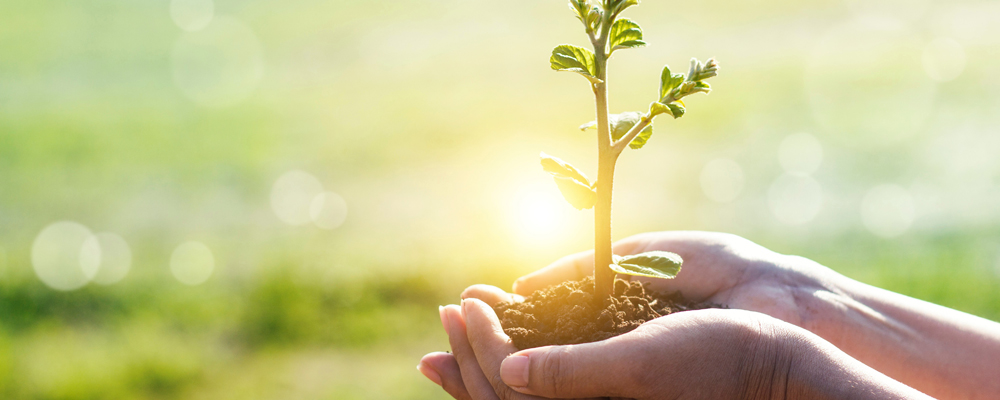 「信託」が持つ力